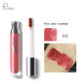 High Quality Cosmetic Waterproof Lipstick Long Lasting Lipstick  Private Label Lipgloss